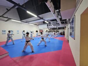 Our Dojang